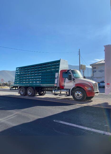 carroceria para vidriera